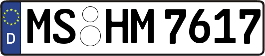 MS-HM7617