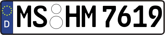 MS-HM7619