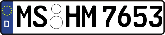 MS-HM7653