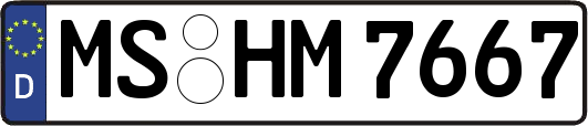 MS-HM7667
