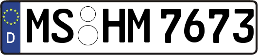 MS-HM7673