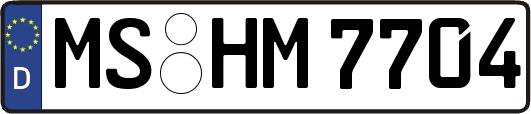 MS-HM7704