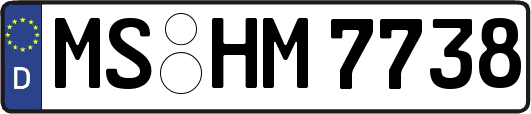 MS-HM7738