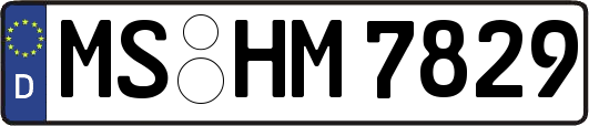 MS-HM7829