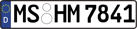 MS-HM7841
