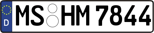 MS-HM7844