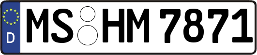 MS-HM7871