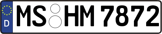 MS-HM7872