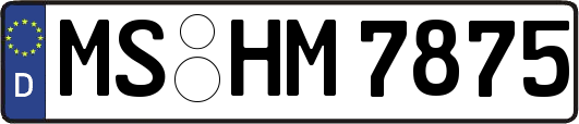 MS-HM7875
