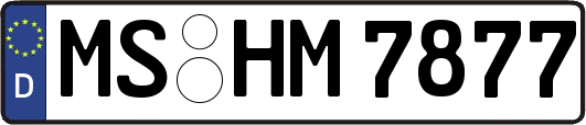 MS-HM7877