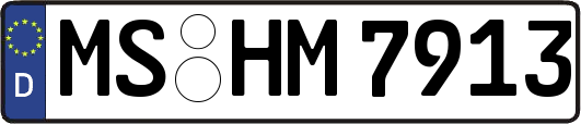 MS-HM7913