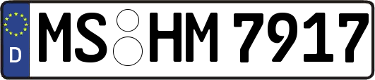 MS-HM7917