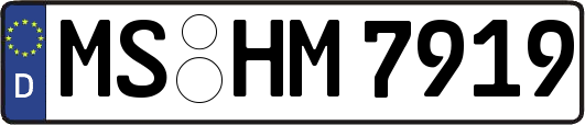 MS-HM7919
