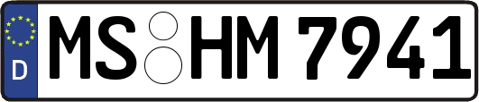 MS-HM7941