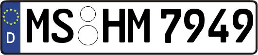 MS-HM7949