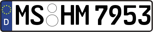 MS-HM7953