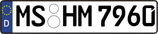 MS-HM7960