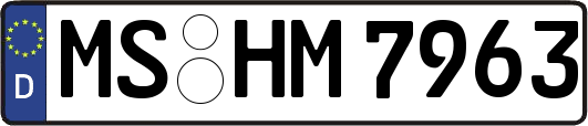MS-HM7963
