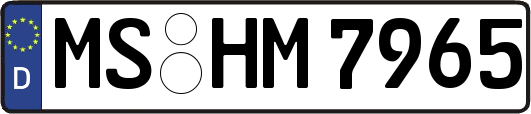 MS-HM7965