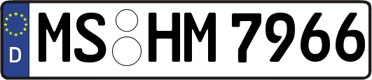 MS-HM7966