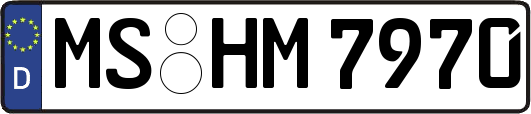 MS-HM7970