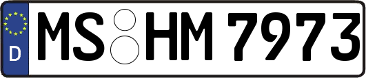 MS-HM7973