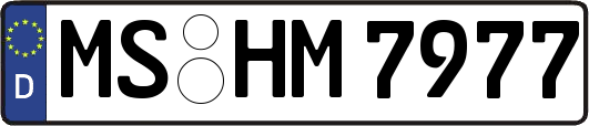 MS-HM7977