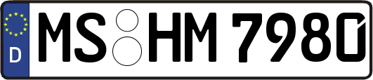 MS-HM7980