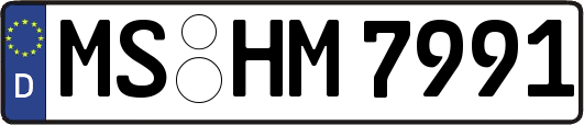 MS-HM7991