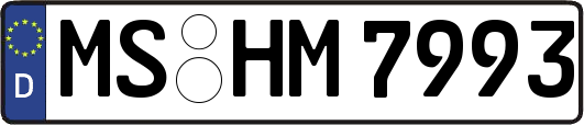 MS-HM7993