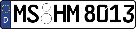 MS-HM8013