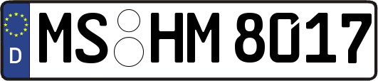 MS-HM8017