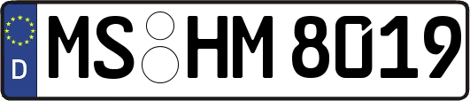 MS-HM8019