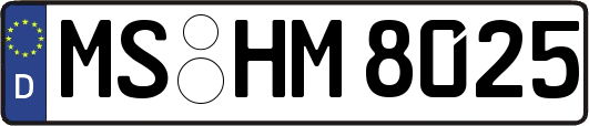 MS-HM8025