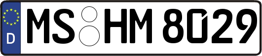 MS-HM8029