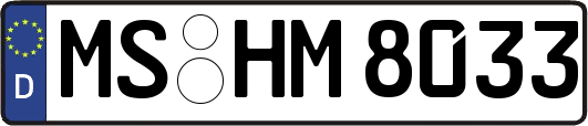MS-HM8033