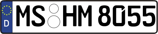 MS-HM8055