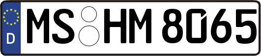 MS-HM8065