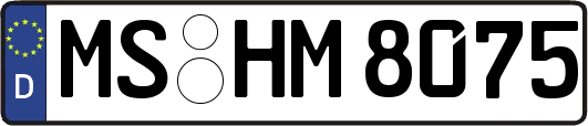 MS-HM8075