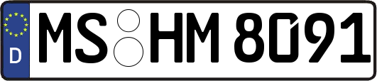 MS-HM8091