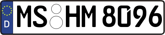 MS-HM8096