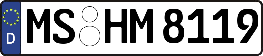 MS-HM8119