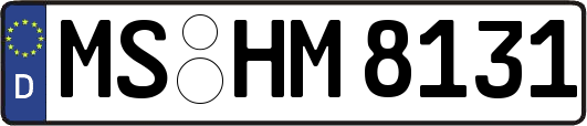 MS-HM8131