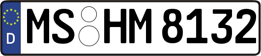 MS-HM8132