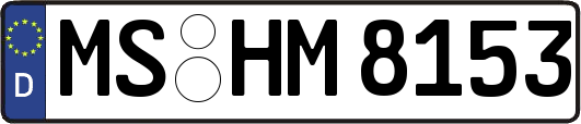 MS-HM8153