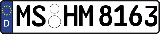 MS-HM8163