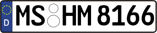 MS-HM8166