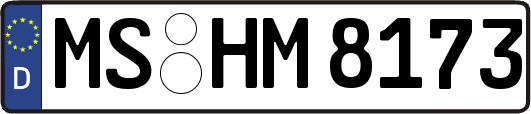 MS-HM8173