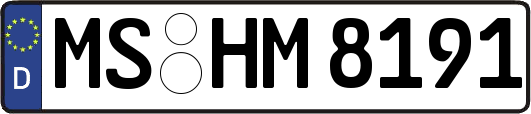 MS-HM8191