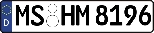 MS-HM8196